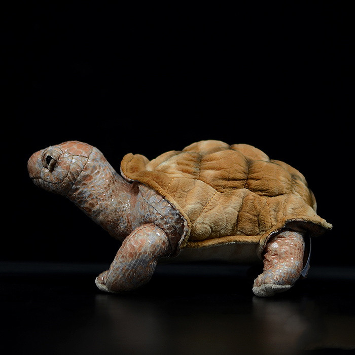 Galapagos Tortoise Soft Stuffed Plush Toy