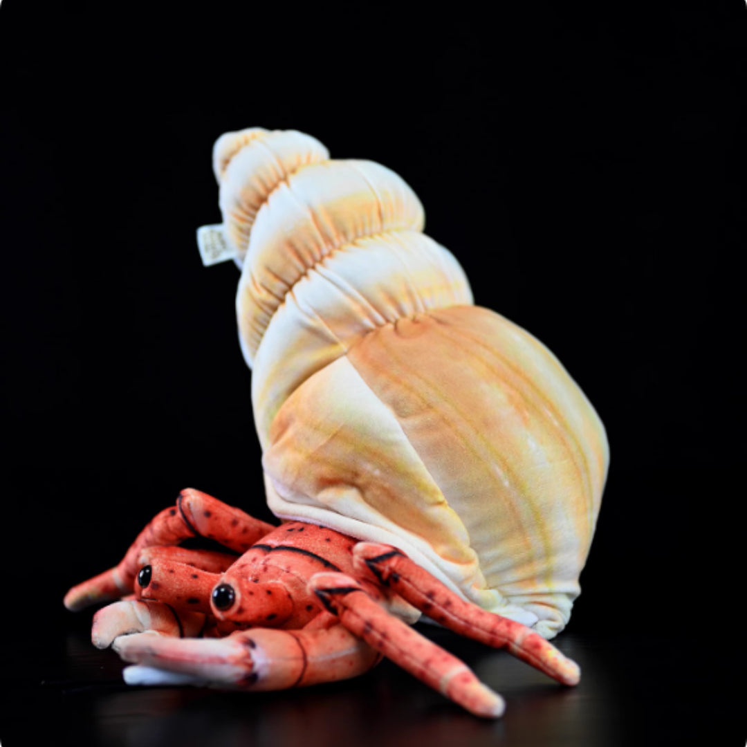Hermit Crab Soft Stuffed Plush Toy