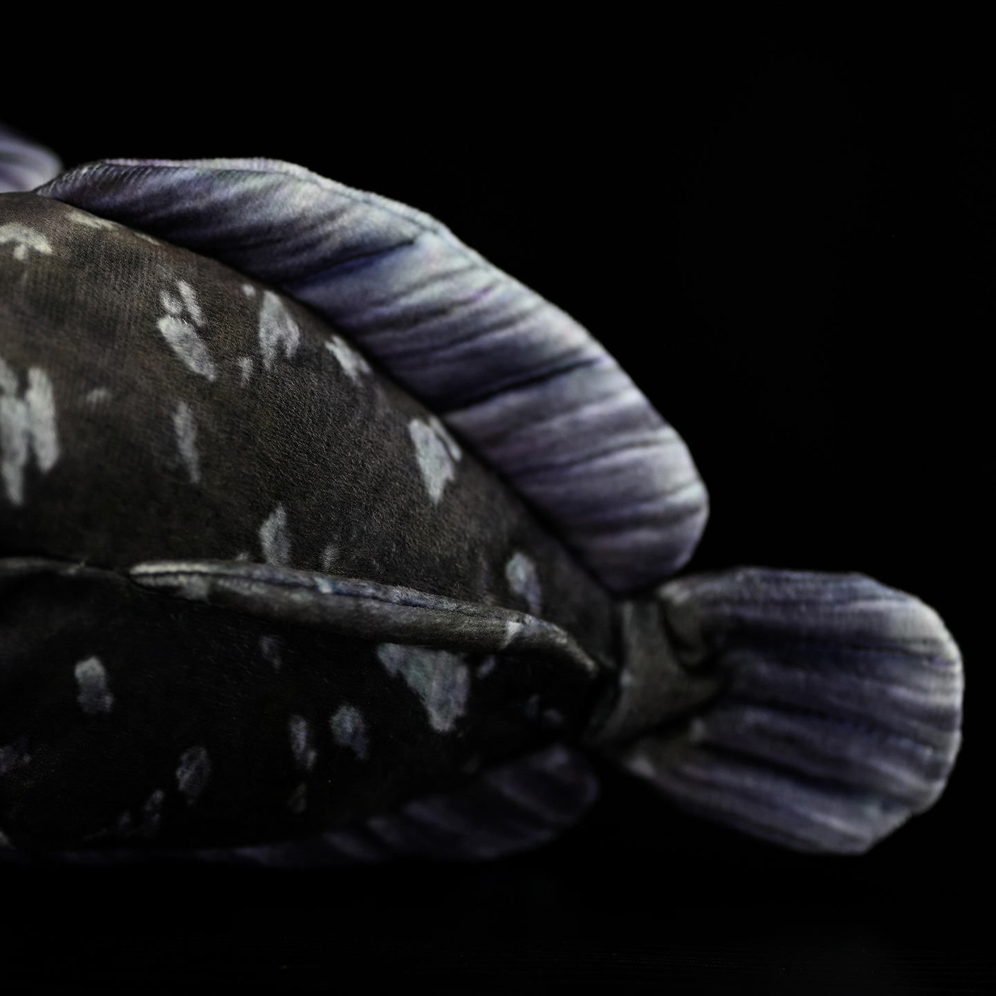 Coelacanth Soft Stuffed Plush Toy