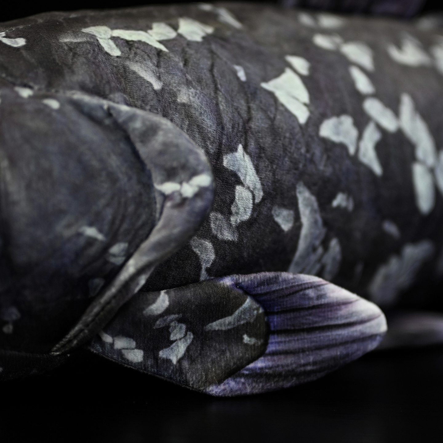Coelacanth Soft Stuffed Plush Toy