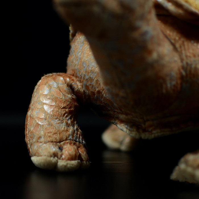 Galapagos Tortoise Soft Stuffed Plush Toy