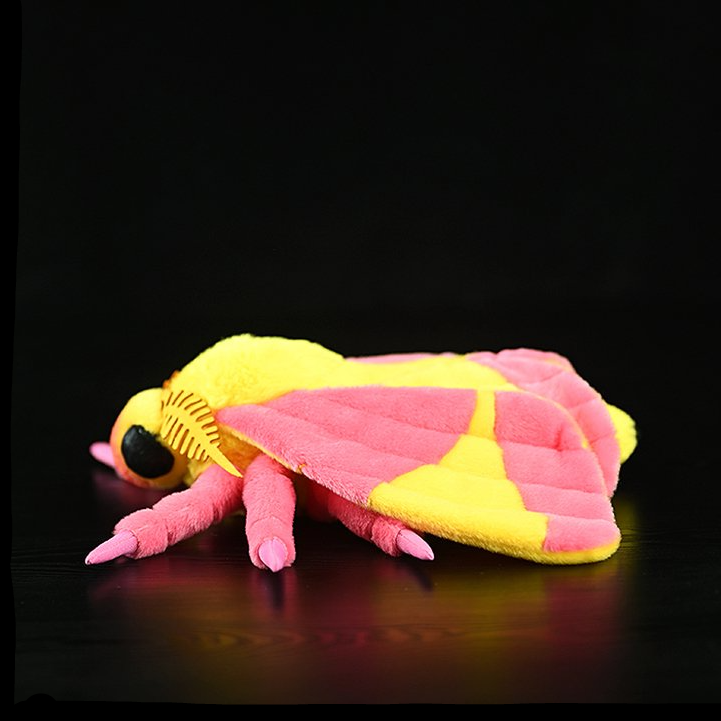 Rosy Maple Moth Soft Stuffed Plush Toy