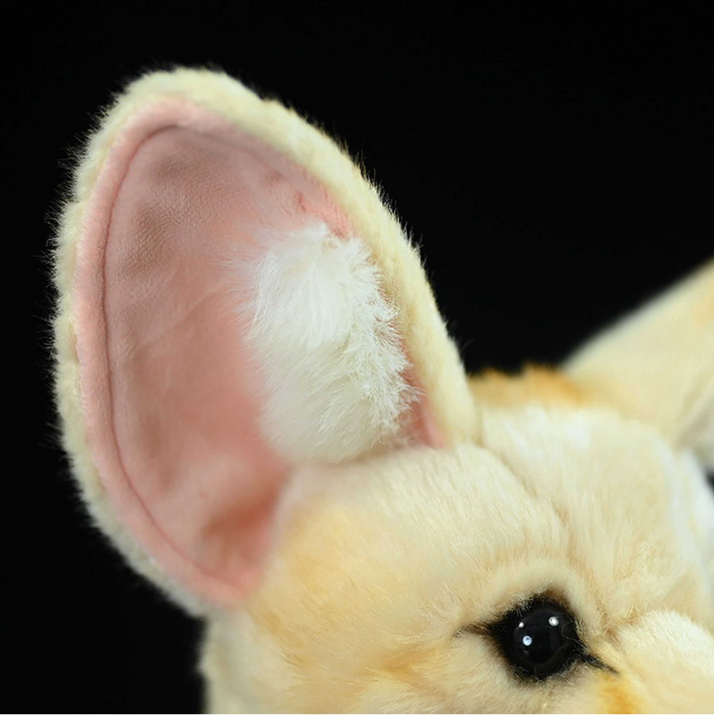 Fennec Fox Soft Stuffed Plush Toy