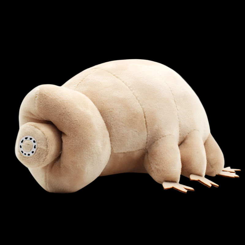 Tardigrade Water Bear Soft Stuffed Plush Toy