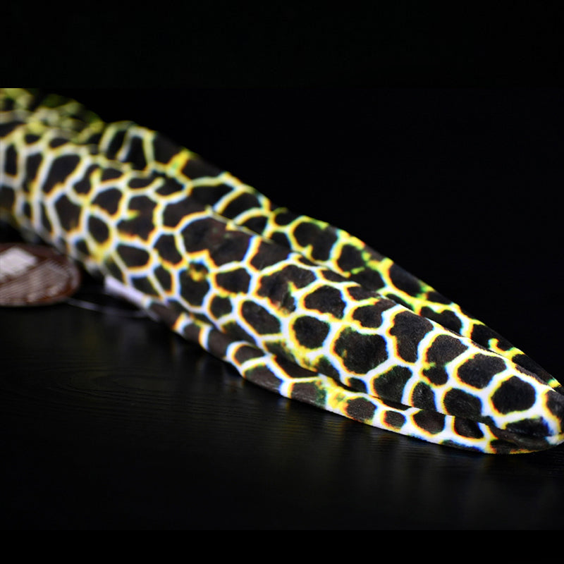 Honeycomb Moray Eel Soft Stuffed Plush Toy