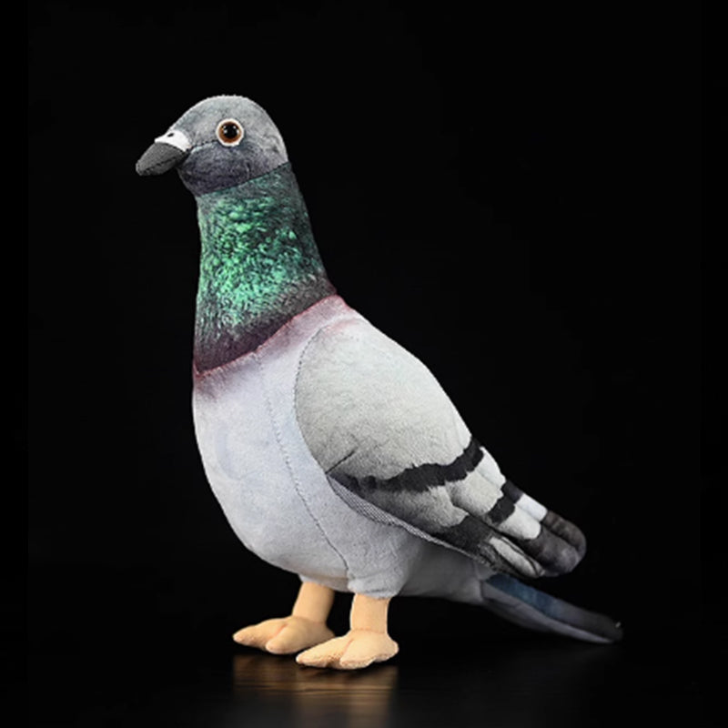 Common Pigeon Bird Soft Stuffed Plush Toy