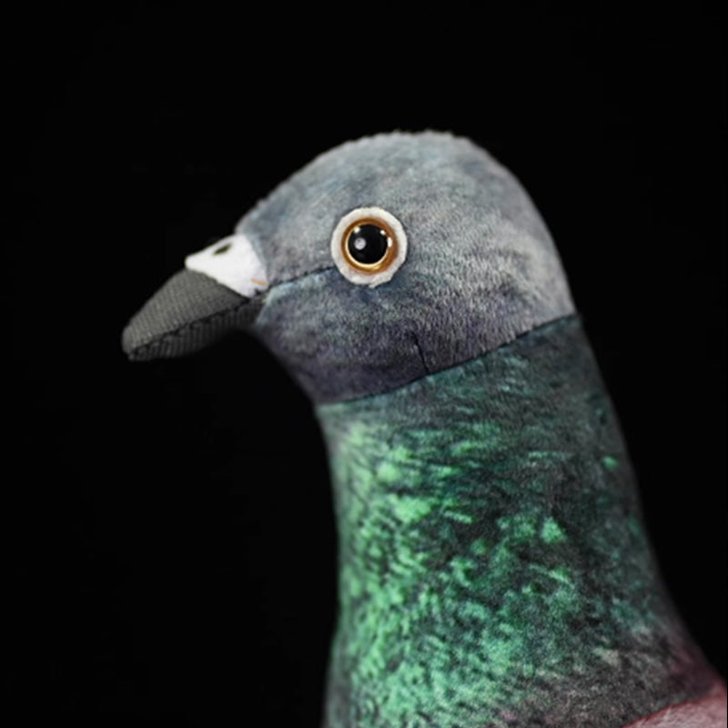 Common Pigeon Bird Soft Stuffed Plush Toy