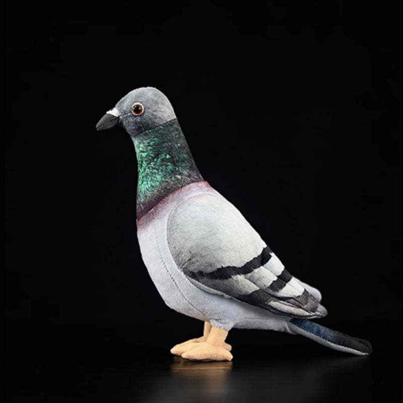 Common Pigeon Bird Soft Stuffed Plush Toy