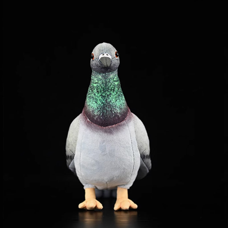 Common Pigeon Bird Soft Stuffed Plush Toy