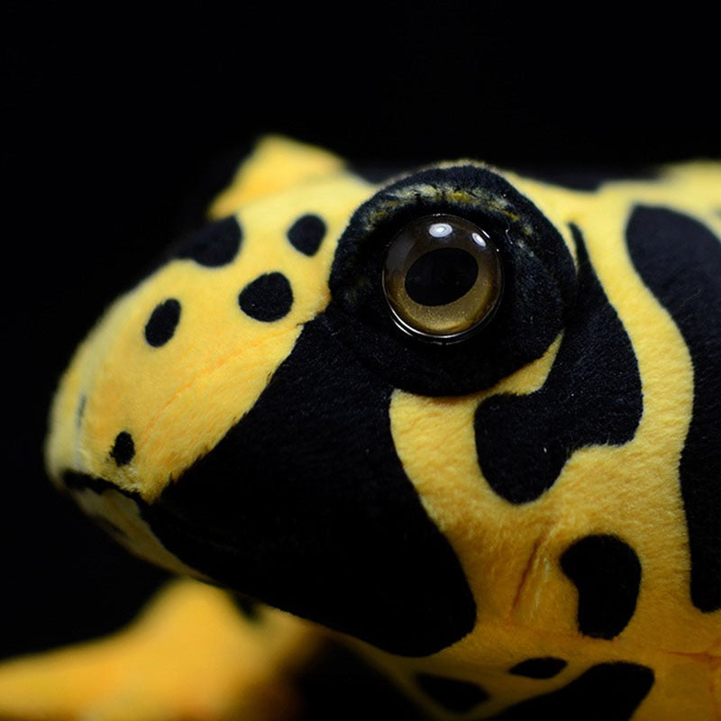Poison Dart Frog Soft Stuff Plush Toy