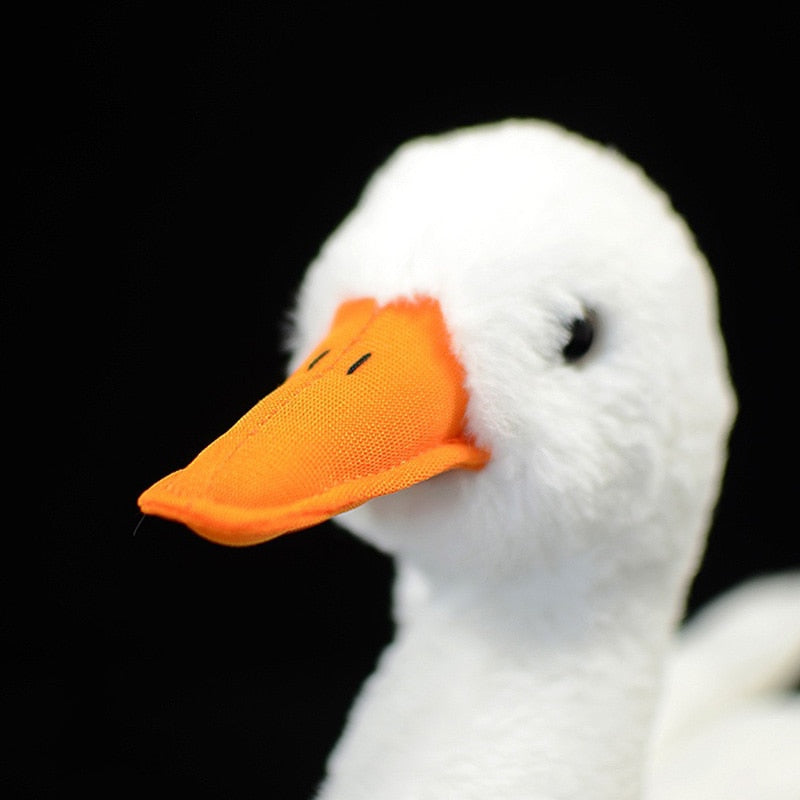 Call Duck Bird Soft Plush Toy