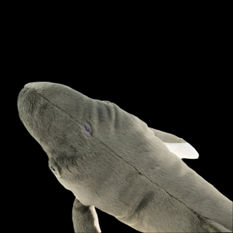 Humpback Whale Soft Stuffed Plush Toy