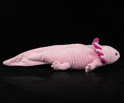 Pink Axolotl Soft Stuffed Plush Toy