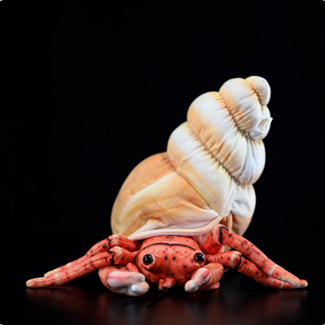 Hermit Crab Soft Stuffed Plush Toy
