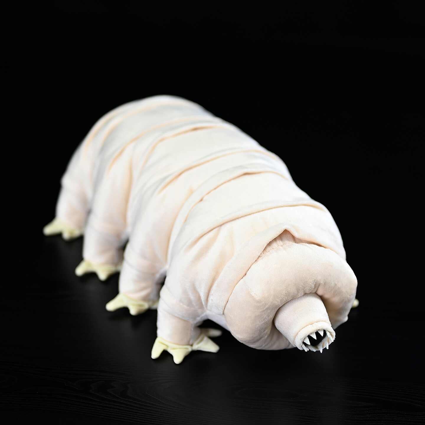 Tardigrade Water Bear Soft Stuffed Plush Toy