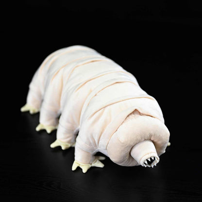 Tardigrade Water Bear Soft Stuffed Plush Toy