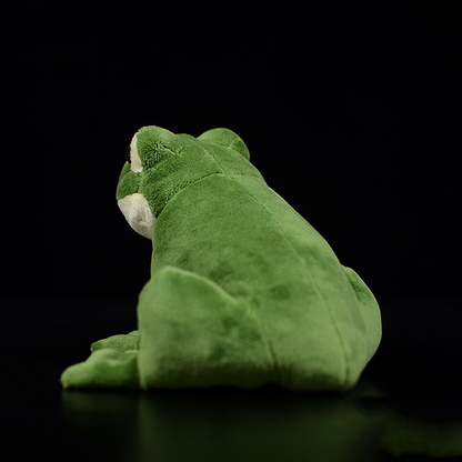 Green Tree Frog Soft Stuffed Plush Toy