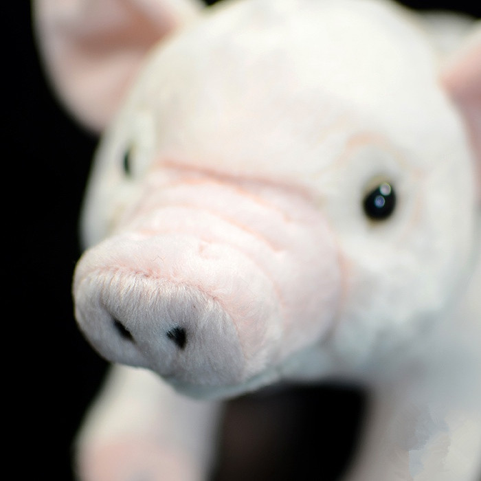 Domestic Pig Soft Stuffed Plush Toy