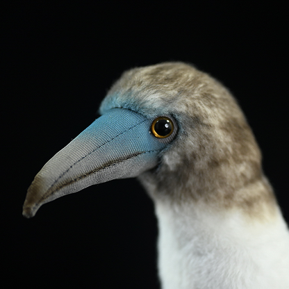 Blue-footed Booby Bird Soft Stuffed Plush Toy