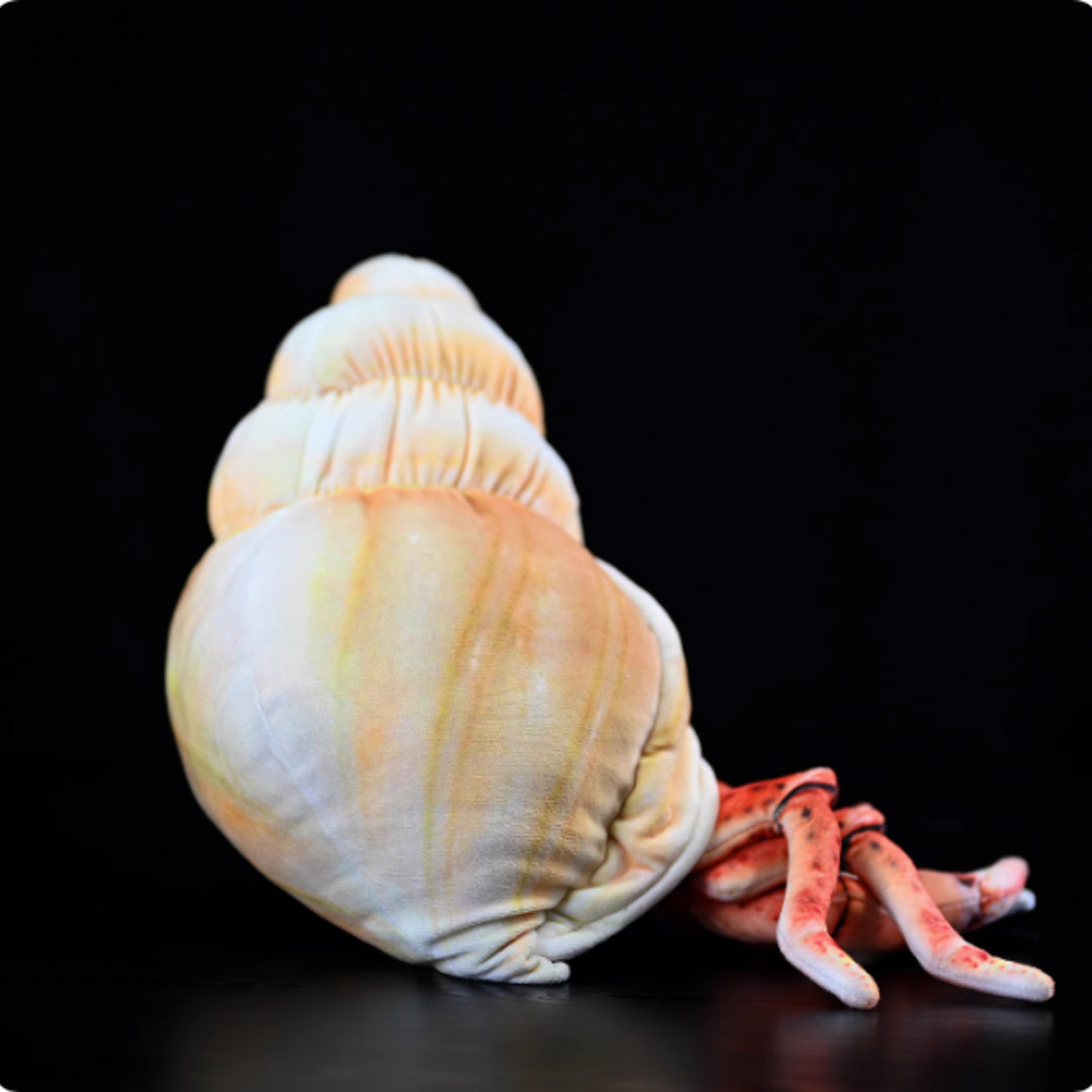 Hermit Crab Soft Stuffed Plush Toy