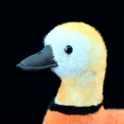 Ruddy Shelduck Bird Soft Stuffed Plush Toy