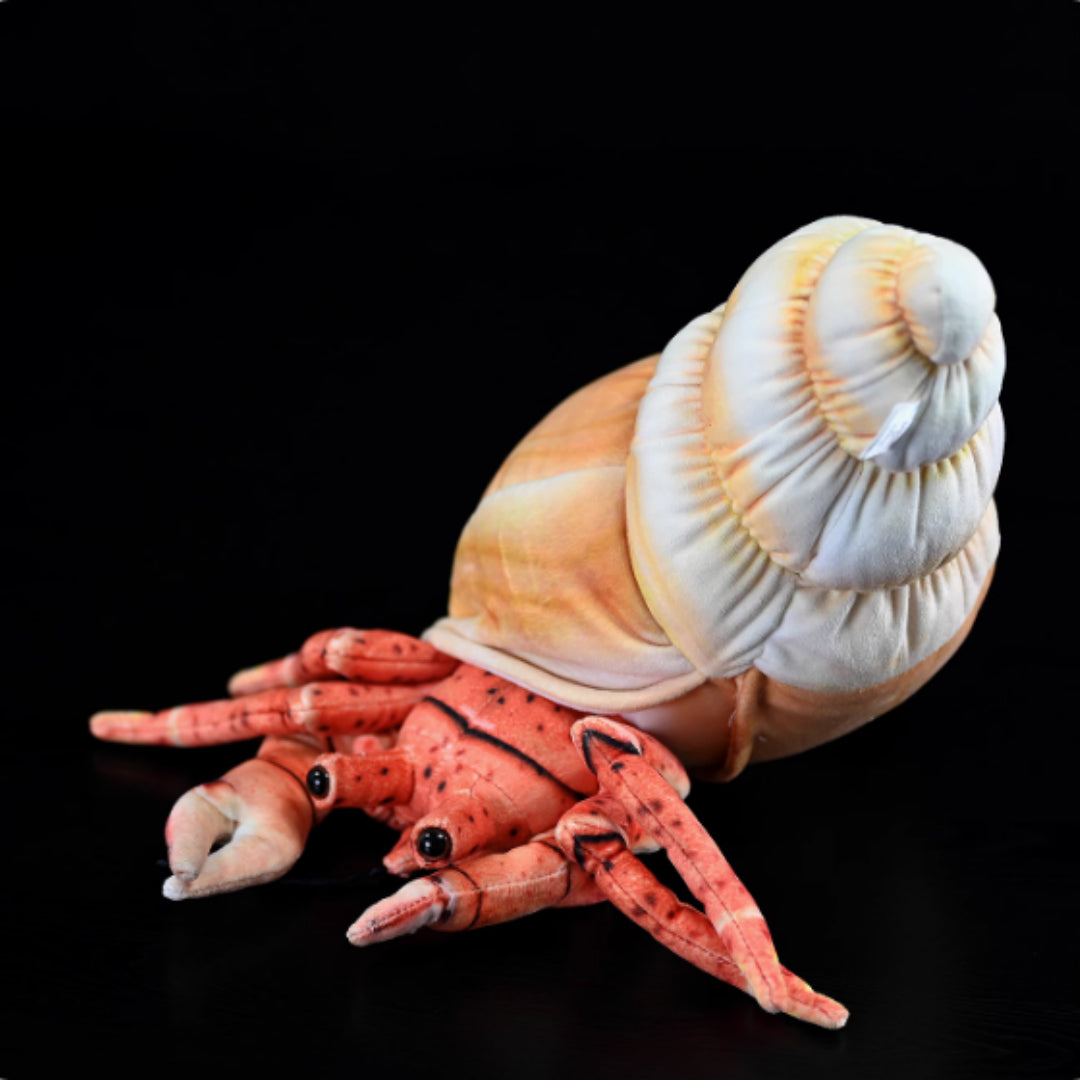 Hermit Crab Soft Stuffed Plush Toy