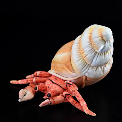 Hermit Crab Soft Stuffed Plush Toy