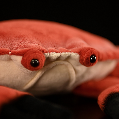 Red Rock Crab Soft Stuffed Plush Toy