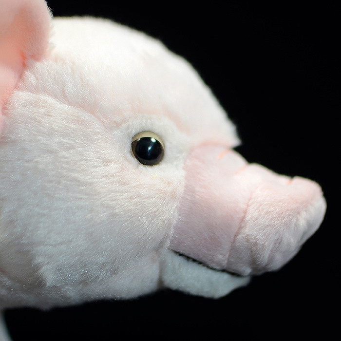 Domestic Pig Soft Stuffed Plush Toy