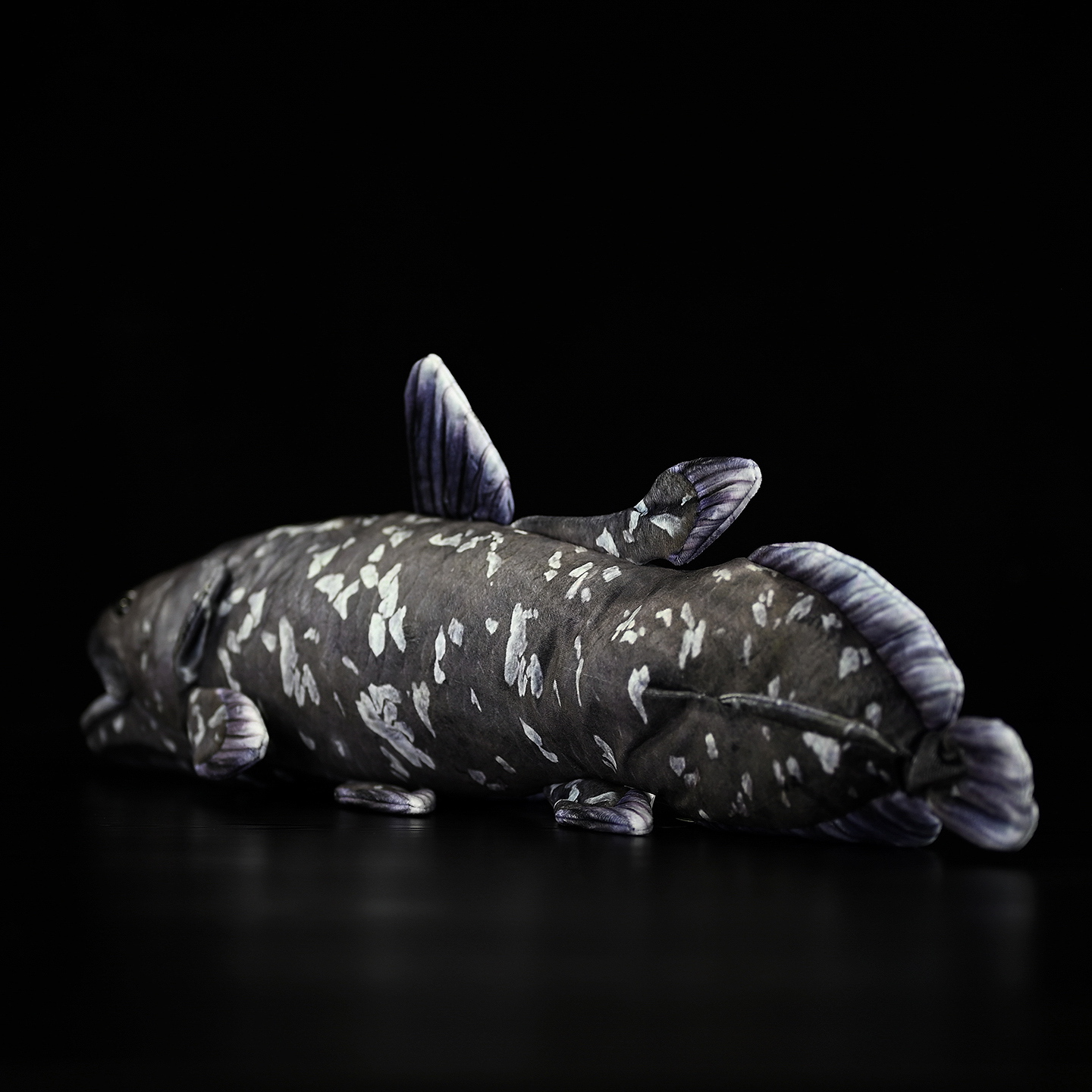 Coelacanth Soft Stuffed Plush Toy