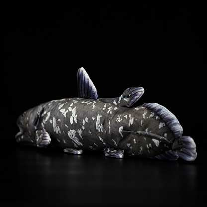 Coelacanth Soft Stuffed Plush Toy