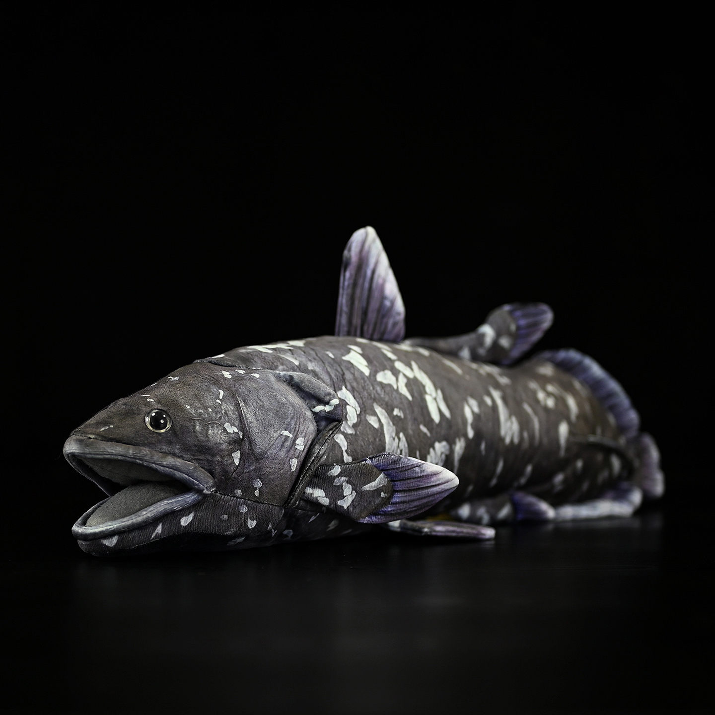 Coelacanth Soft Stuffed Plush Toy