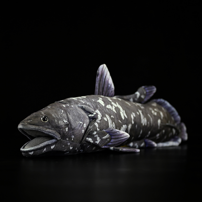Coelacanth Soft Stuffed Plush Toy