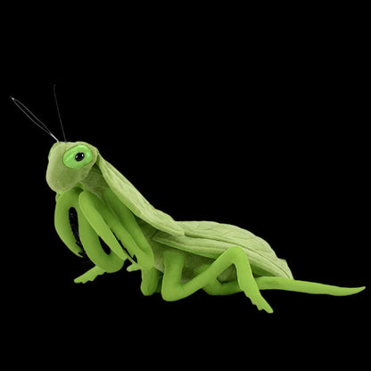 Shield Mantis Soft Stuffed Plush Toy