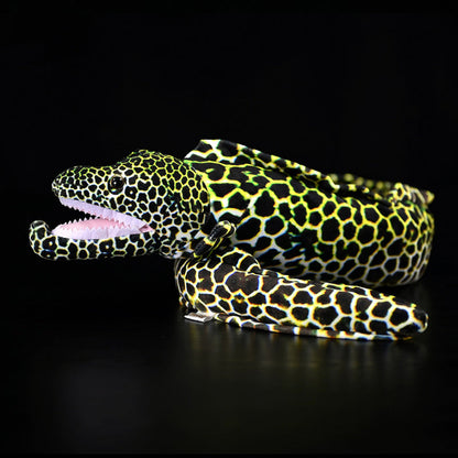 Honeycomb Moray Eel Soft Stuffed Plush Toy