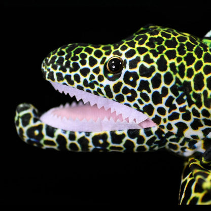 Honeycomb Moray Eel Soft Stuffed Plush Toy