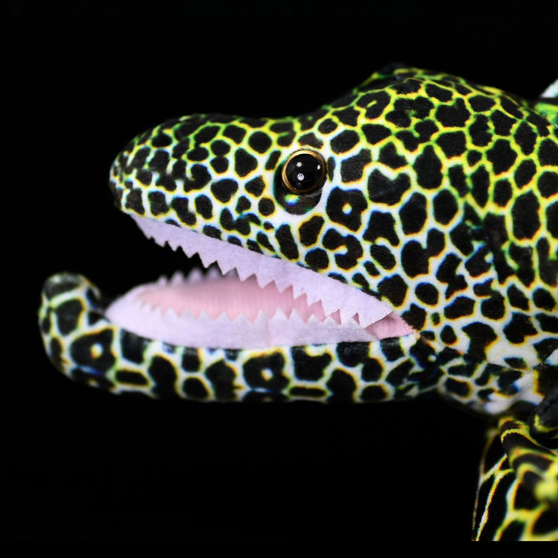 Honeycomb Moray Eel Soft Stuffed Plush Toy