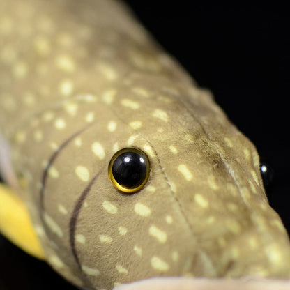 Northern Pike Fish Soft Stuffed Plush Toy