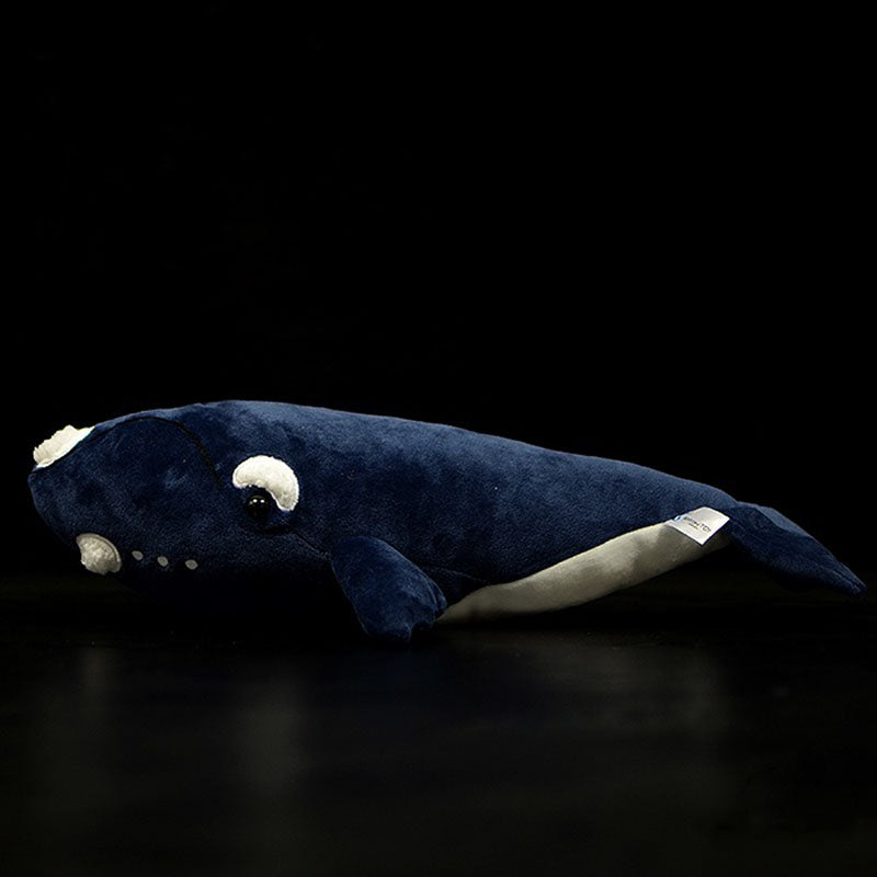 Right Whale Soft Stuffed Plush Toy