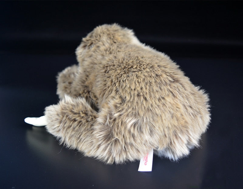 Sloth Soft Stuffed Plush Toy