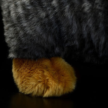 Pallas's Cat Soft Stuffed Plush Toy