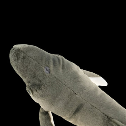 Humpback Whale Soft Stuffed Plush Toy