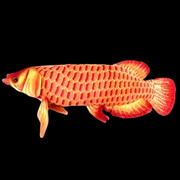 Arowana Fish Soft Stuffed Plush Toy